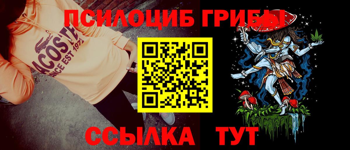 Псилоцибиновые грибы Psilocybine cubensis  Вход с VPN  купить   Чайковский 